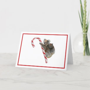 Candy Cane Australian Koala lleva tarjeta de vacac
