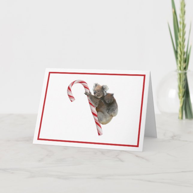Candy Cane Australian Koala lleva tarjeta de vacac (Anverso)