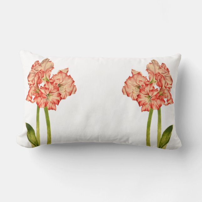 Candy Cane Lilies sobre una almohada lumbar (Anverso)