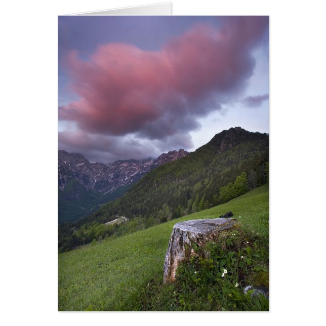 Candy Floss Cloud (Frente)