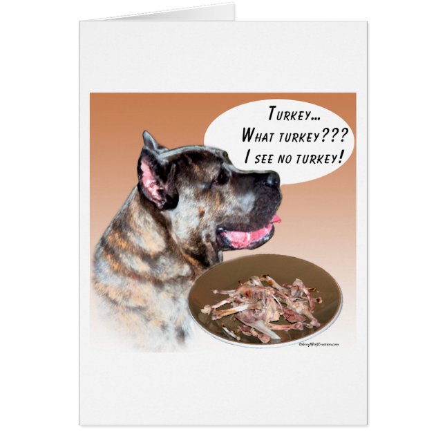 Cane Corso Turkey (Frente)