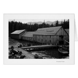 Cañería Salmon cerca de Ketchikan, Alaska