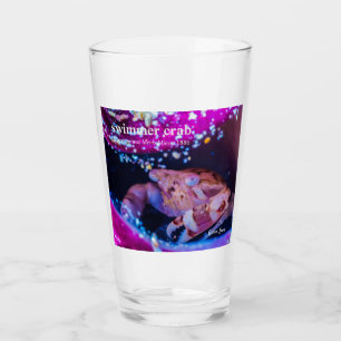 Cangrejo de nadador en el tubo morado anemono