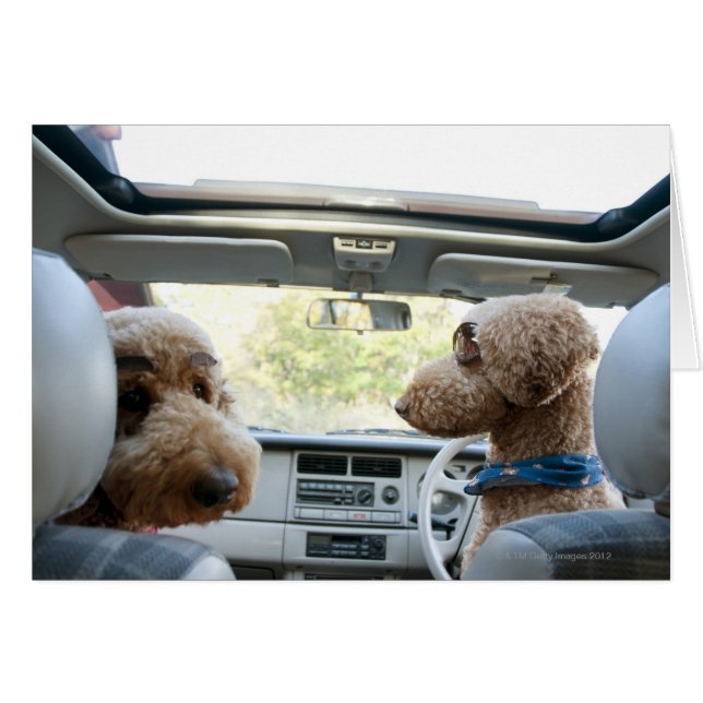 cangrejo estándar (Anverso (Horizontal))