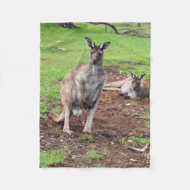 Canguro Buck Australiano, Pequeña Manta De Fleece. (Anverso)