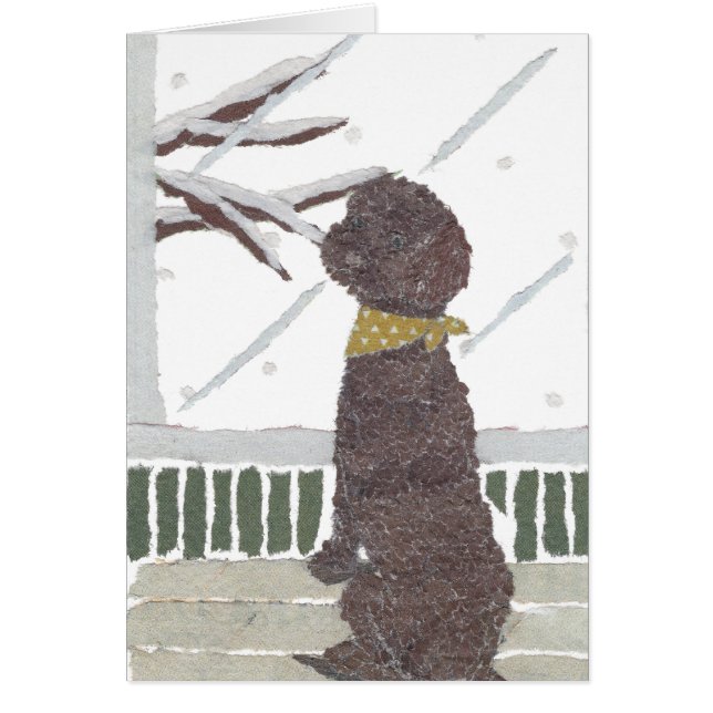 Caniche de Brown, caniche del chocolate (Frente)