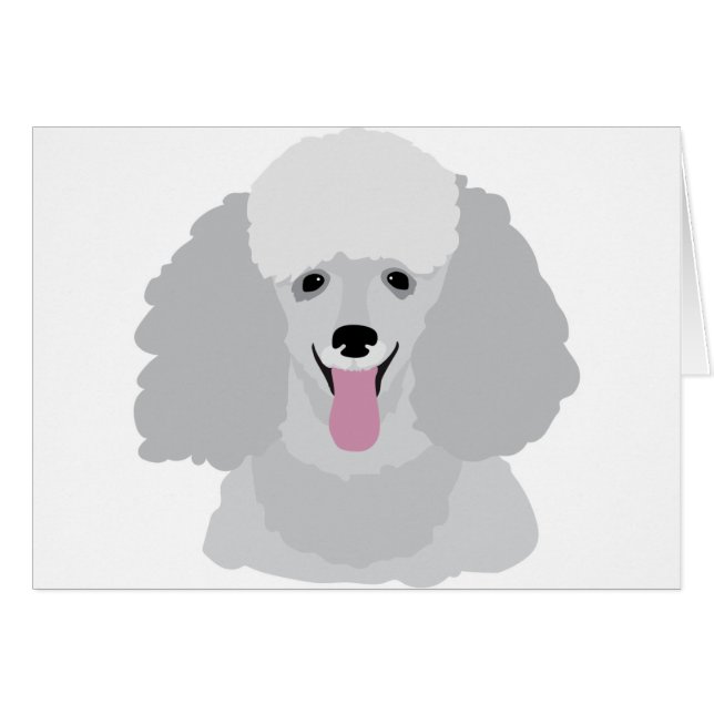 Caniche de juguete (Anverso (Horizontal))