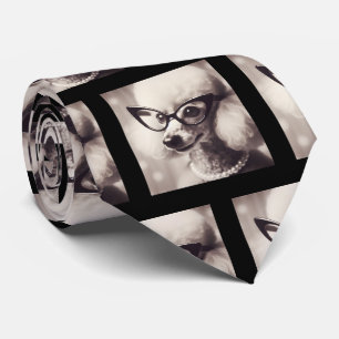 Caniche divertido con gafas y corbata de nerd