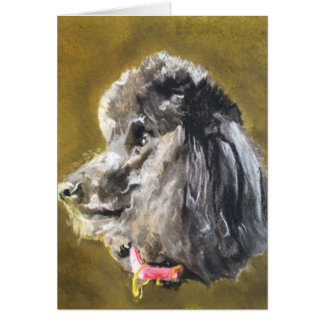 Caniche estándar