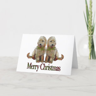 Caniche, navidad de oro de los pares del Doodle: