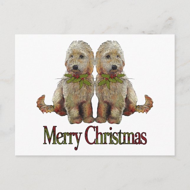Caniche, navidad de oro de los pares del Doodle: (Anverso)
