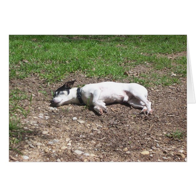 Canículas (Anverso (Horizontal))