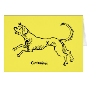 Canis Menor, 1482