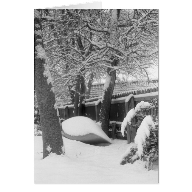 Canoa de nieve (Frente)