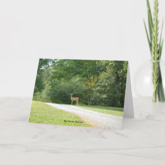 Canoa grande, tarjeta de nota de Georgia