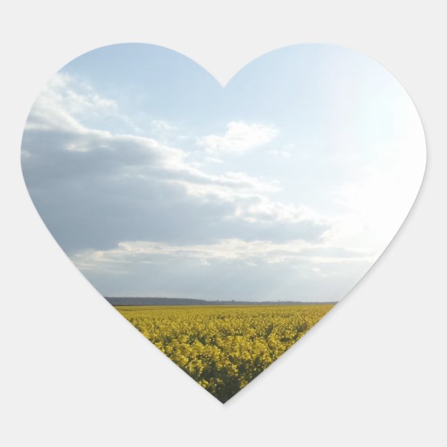 Canola Field Heart Pegatina (Anverso)
