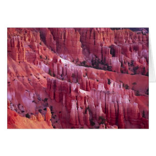 Cañón Bryce, Utah, EE. UU.