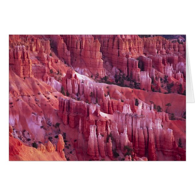 Cañón Bryce, Utah, EE. UU. (Anverso (Horizontal))