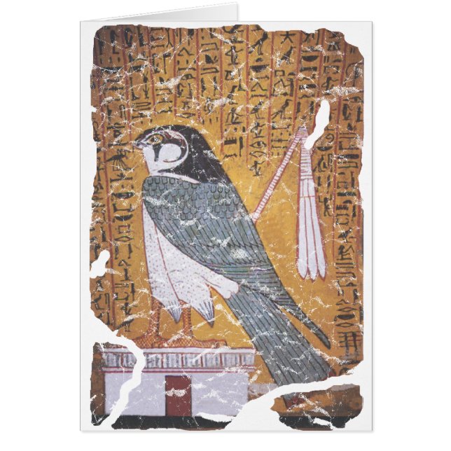 Cañón de Falcon (Frente)