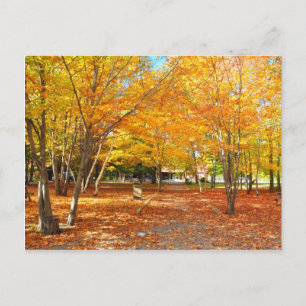 Cañón de follaje otoño Sainte Anne Quebec postal