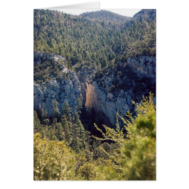 Cañón de luz (Frente)
