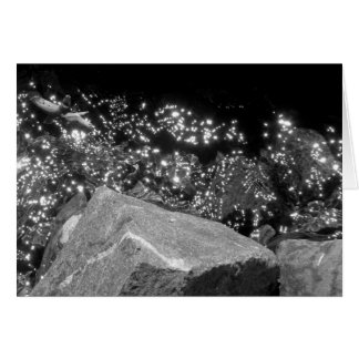 Cañón de madera negra, lago Tahoe