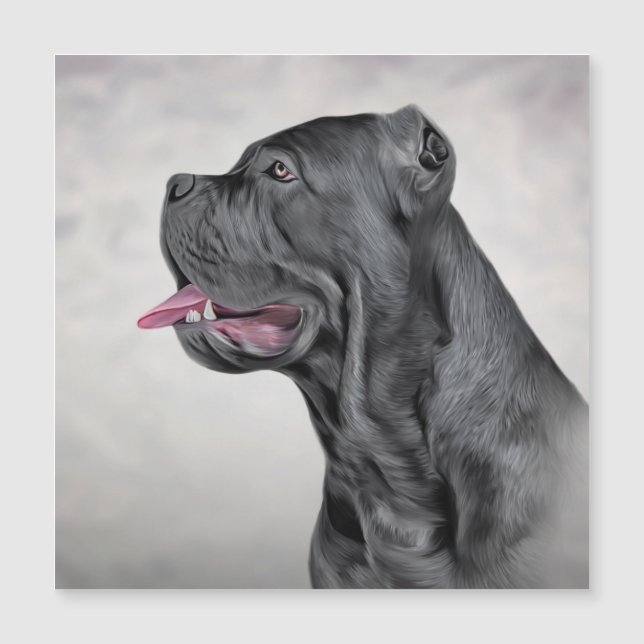 Cañón de perro de dibujo Corso - Mastiff italiano  (Anverso)