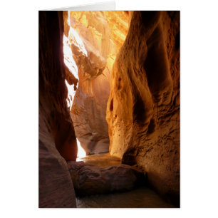 Cañón de ranura del Parque Nacional de Zion, Utah