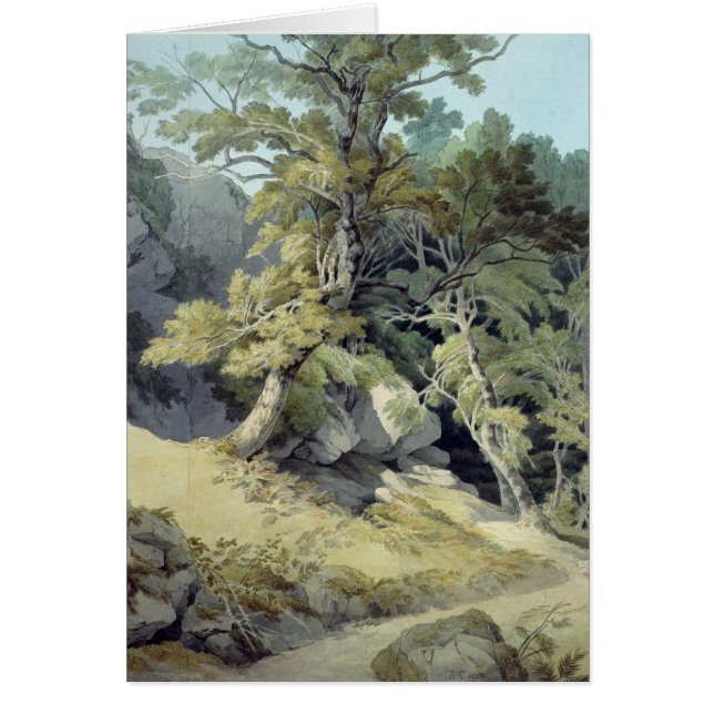 Canonteign, Devon (Frente)