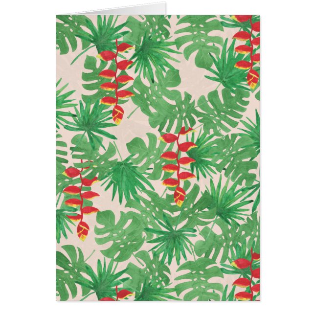 Canopia tropical (Frente)