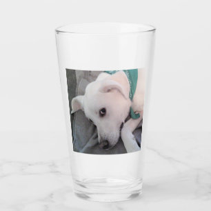 Cansado Día de los Sta Patrones Viendo Verde