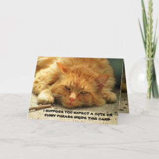 Cansado Kitty Quiere Que Termine Su Tarjeta