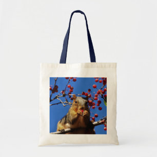 Cansas Squirrel comiendo la bolsa de la toga de lo