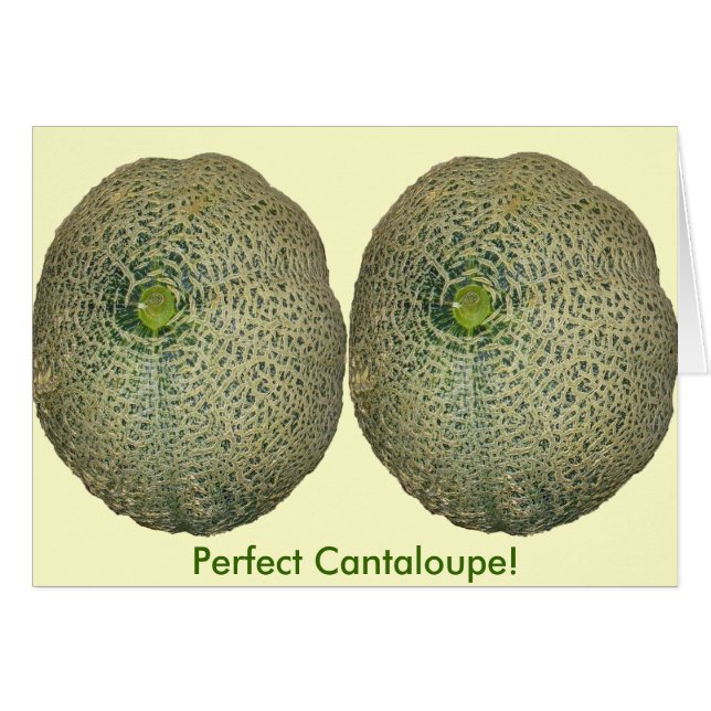 Cantaloupe fresco en el jardín (Anverso (Horizontal))