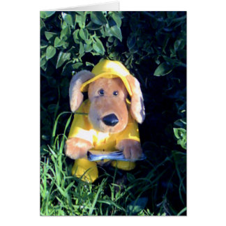 Cantando bajo la lluvia