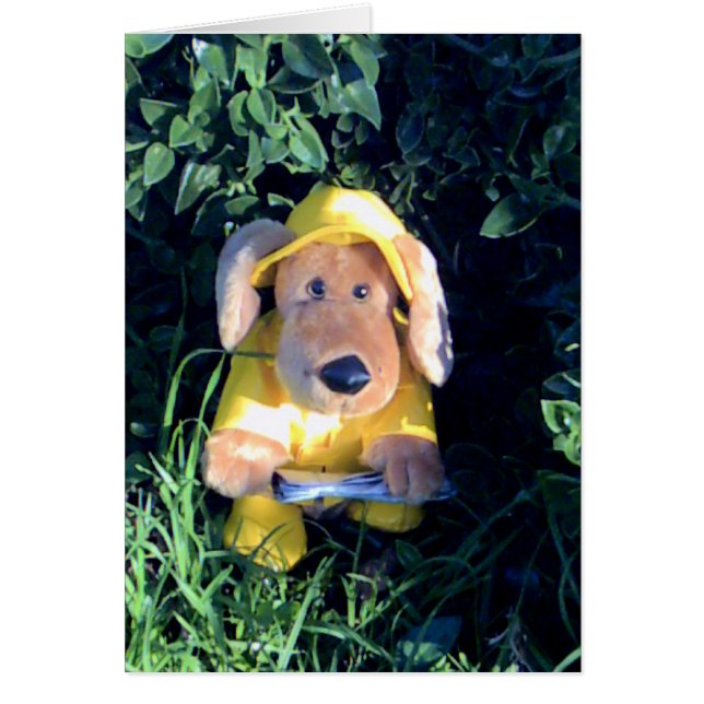 Cantando bajo la lluvia (Frente)