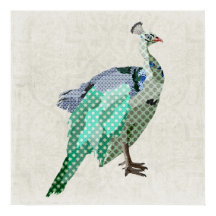 Canto de arte Peacock