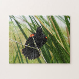 Canto de pájaro negro alado rojo - rompecabezas de
