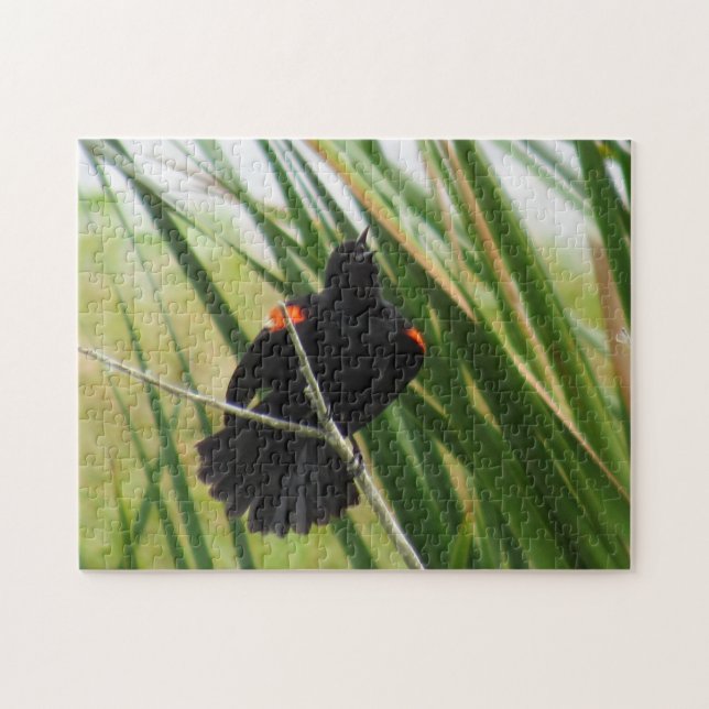 Canto de Red Wingbird Blackbird - Rompecabezas de  (Horizontal)