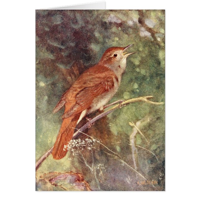 Canto del usignuolo (Frente)