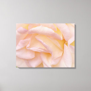 Canvas de arte floral de Petales rosa de Rubor