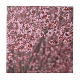 Capas de Tejas de Flor de Cerezo Japonesa Rosa