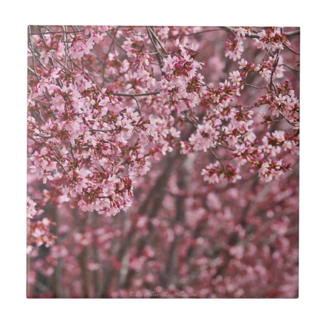 Capas de Tejas de Flor de Cerezo Japonesa Rosa (Frente)