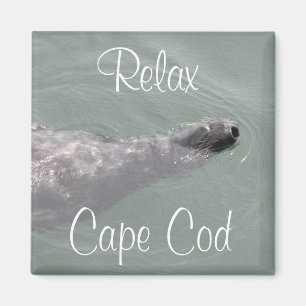 Cape Cod, Foca Relajada Flotante Imán
