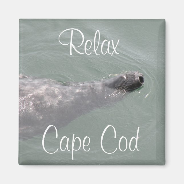 Cape Cod, Foca Relajada Flotante Imán (Frente)