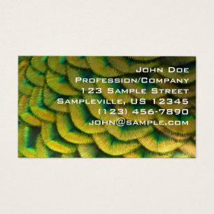 Caperas de pavo real II Naturaleza colorida