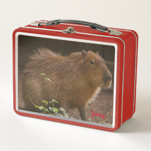 Capibara