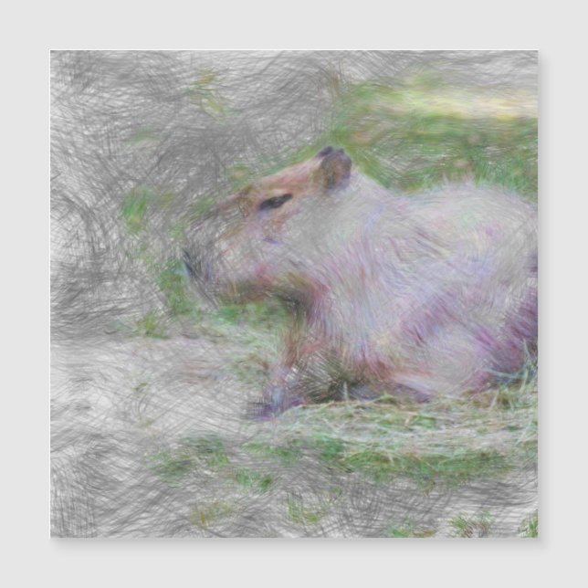 capibara de animales artísticos (Anverso)