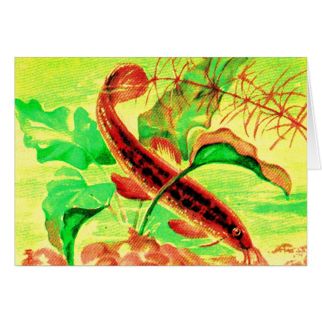 capilar (Anverso (Horizontal))