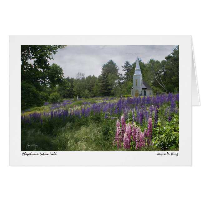 Capilla en una carta de campo de Lupine (Anverso (Horizontal))